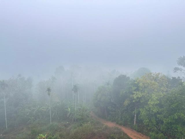 Wayanad Vista Service Apartment ภายนอก รูปภาพ